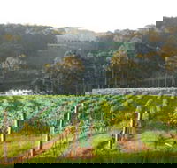 Tilba Valley Wines - Accommodation Port Hedland