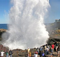 Kiama Blowhole - Accommodation Port Hedland