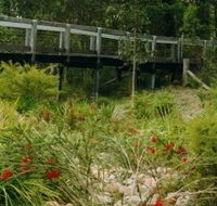 Eurobodalla Botanic Gardens - Accommodation Port Hedland