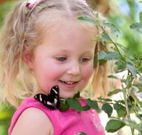 Coffs Harbour Butterfly House - Accommodation Port Hedland