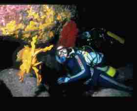 Solitary Islands Marine Park - Accommodation Port Hedland 0