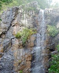 Wedding Bells Forest Drive - Accommodation Port Hedland 0