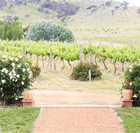 Brindabella Hills Winery - Accommodation Port Hedland