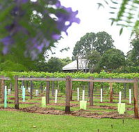 Douglas Vale Historic Homestead  Vineyard - Accommodation Port Hedland
