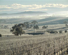 Kurrajong Downs Wines Vineyard - Accommodation Port Hedland 1