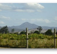 Ironbark Ridge Vineyard - Accommodation Port Hedland