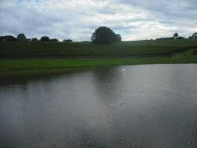 Vintners Secret Vineyard, Cellar Door And Cafe - Accommodation Port Hedland 0
