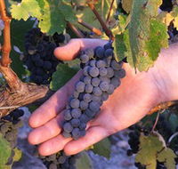 Eagles Rise Wine - Accommodation Port Hedland