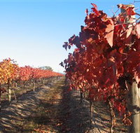 Kooyonga Creek Wines - Accommodation Port Hedland