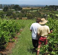 Sir Paz Estate - Accommodation Port Hedland