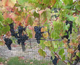 Cobaw Ridge - Accommodation Port Hedland 7