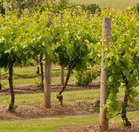 Mt Coghill Vineyard - Accommodation Port Hedland