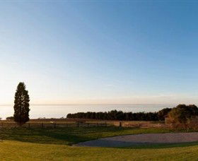 Jack Rabbit Vineyard - Accommodation Port Hedland 3