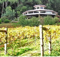 Peveril Vineyard/Beechy Berries - Accommodation Port Hedland