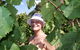 Harcourt Valley Vineyards - thumb 5