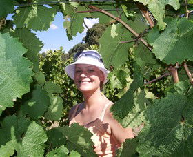 Harcourt Valley Vineyards - Accommodation Port Hedland 5