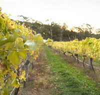 Harcourt Valley Vineyards - Accommodation Port Hedland
