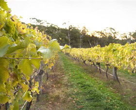 Harcourt Valley Vineyards - Accommodation Port Hedland 0