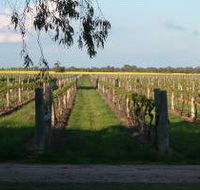 Water Wheel Vineyards - Accommodation Port Hedland