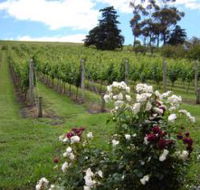Pembroke Estate Vineyard - Accommodation Port Hedland