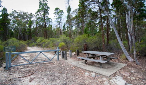 Munghorn Gap Nature Reserve - Accommodation Port Hedland 2
