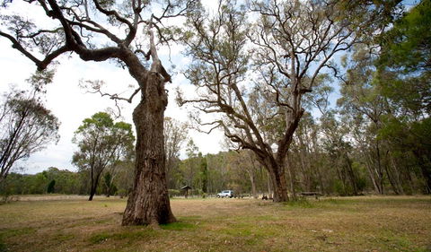 Munghorn Gap Nature Reserve - Accommodation Port Hedland 3
