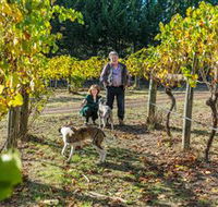 Little River Wines of Taggerty - Accommodation Port Hedland