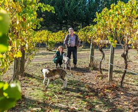 Little River Wines Of Taggerty - Accommodation Port Hedland 0