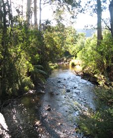 Little River Wines Of Taggerty - Accommodation Port Hedland 5