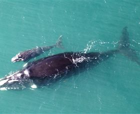 Fazshot Photography - Accommodation Port Hedland 0
