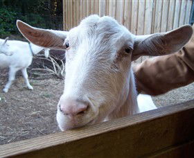 Drysdale Cheeses - Accommodation Port Hedland 0