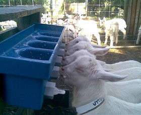 Drysdale Cheeses - Accommodation Port Hedland 9