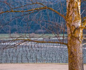 Chrismont - Accommodation Port Hedland 4