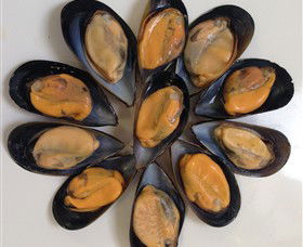 Advance Mussel Supply - Accommodation Port Hedland 3