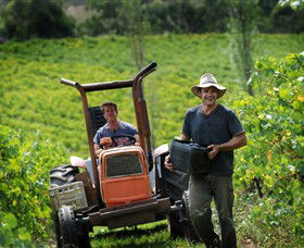 Kellybrook Winery, Kelly Brothers Cider & Riders Brew Co. - Accommodation Port Hedland 0