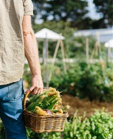 Kiltynane Wines - Accommodation Port Hedland 6