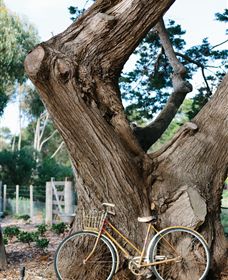 Kiltynane Wines - Accommodation Port Hedland 8