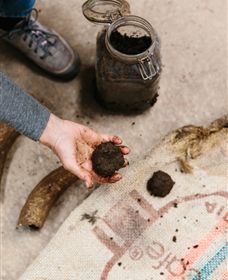 Kiltynane Wines - Accommodation Port Hedland 7