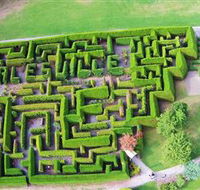 Hedgend Maze and Healesville Laser Sport - Accommodation Port Hedland