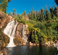 Steavenson Falls Marysville - Accommodation Port Hedland