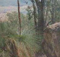 Mount Lawson State Park - Accommodation Port Hedland