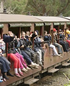 Puffing Billy Steam Railway - Accommodation Port Hedland 1