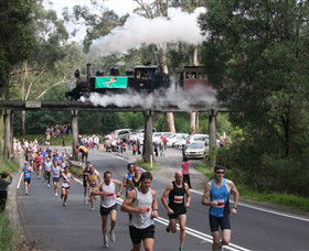 Puffing Billy Steam Railway - Accommodation Port Hedland 7
