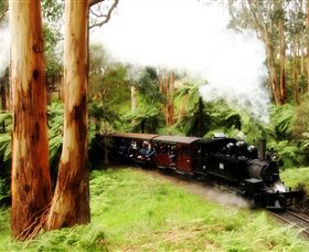 Puffing Billy Steam Railway - Accommodation Port Hedland 5