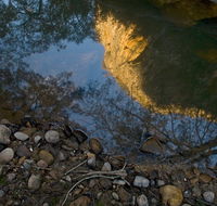 Abercrombie Karst Conservation Reserve - Accommodation Port Hedland