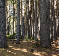 Sugarpine Walk - Accommodation Port Hedland
