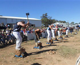 Quirindi Rural Heritage Village - Accommodation Port Hedland 1