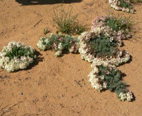 Eganu WA Accommodation Port Hedland