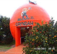 Gayndahs Big Orange - Accommodation Port Hedland