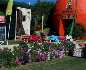 Gayndahs Big Orange - Accommodation Port Hedland 1